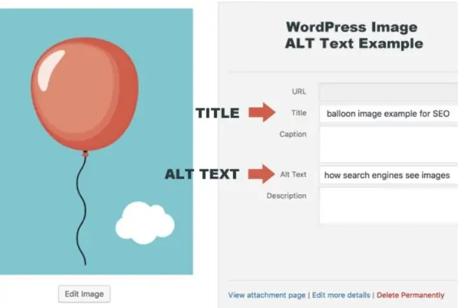 Alt là gì? Tầm quan trọng của Alt Text trong SEO 3