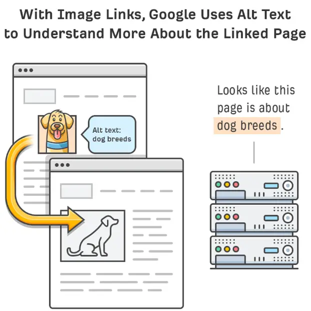Alt là gì? Tầm quan trọng của Alt Text trong SEO 4