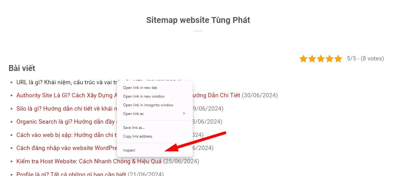 Lỗi 404 và SEO: Cách tối ưu website tránh ảnh hưởng tiêu cực 9