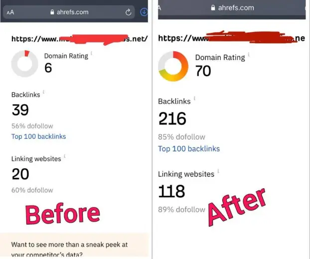DR là gì? Domain Rating là gì trong SEO? 6