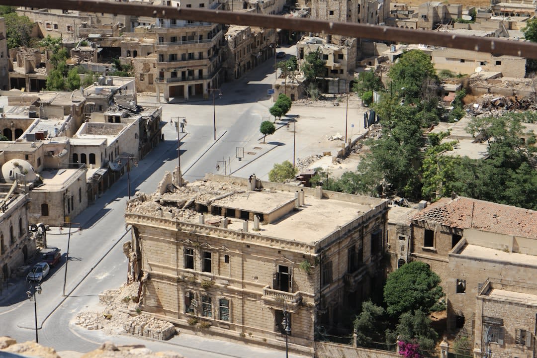 Aleppo regular