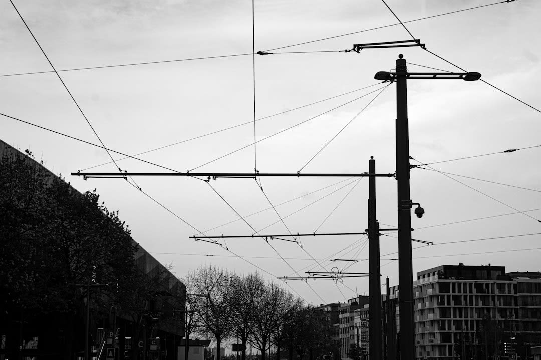 Antwerpen regular