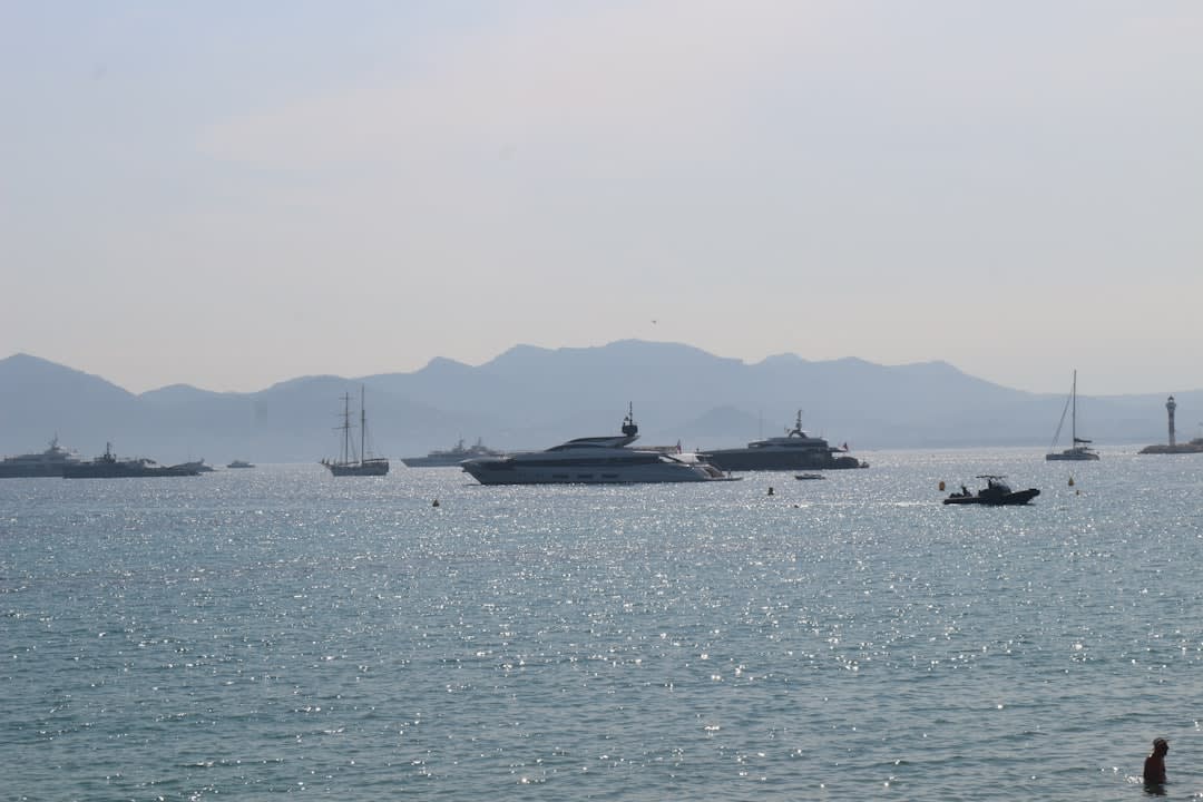 Cannes regular