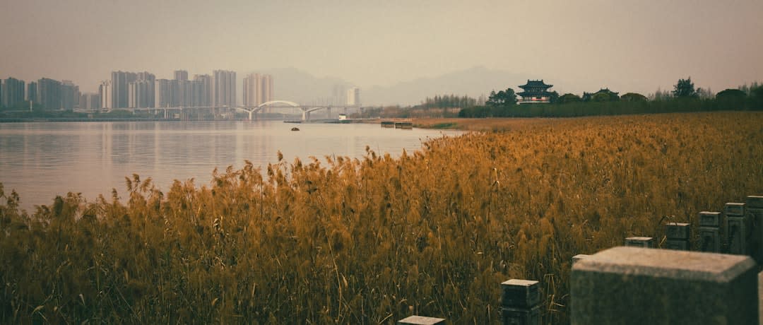 Wenzhou regular