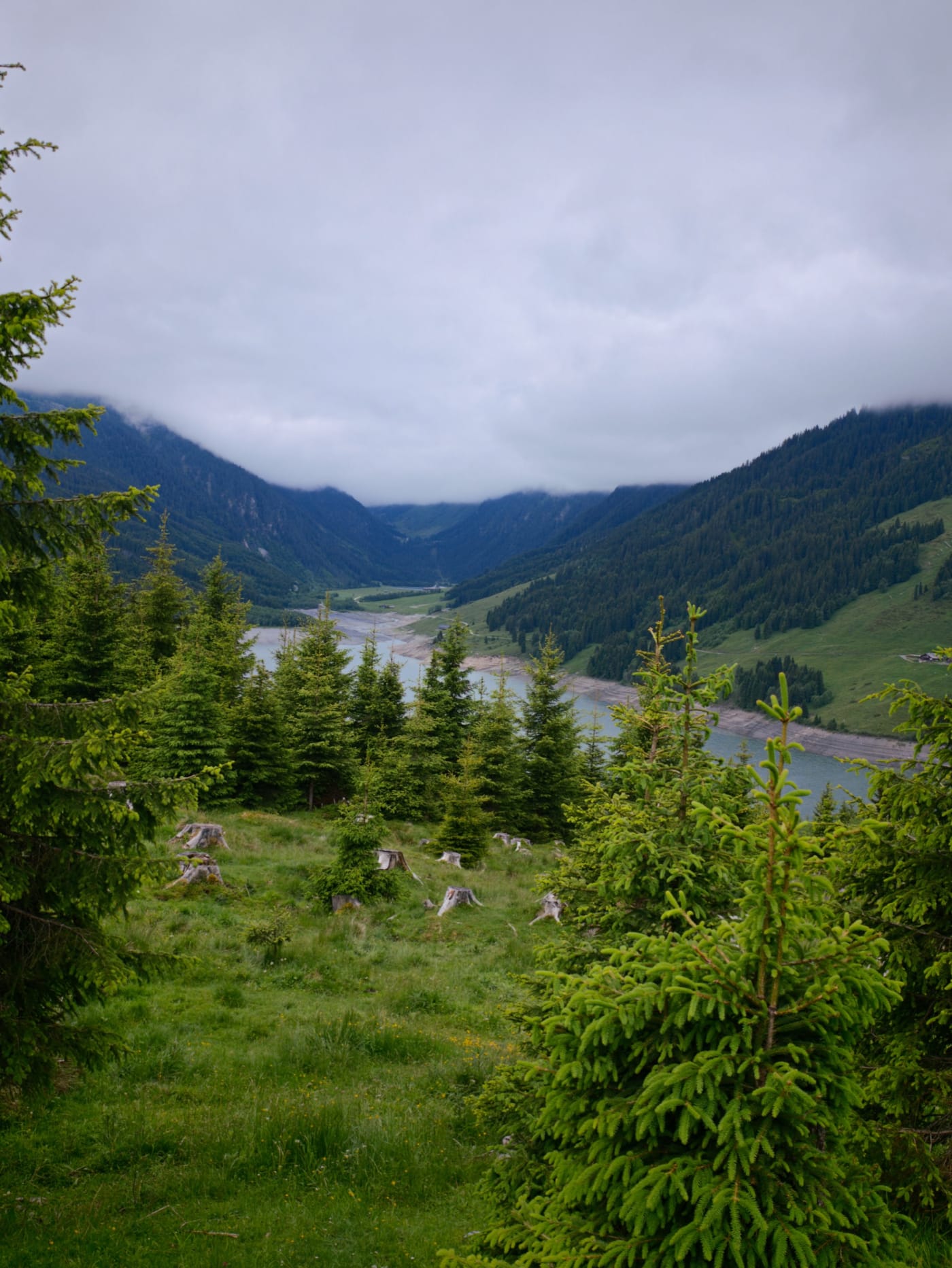 Evergreen trees overlooking a narrow alpine lake and valley under low clouds