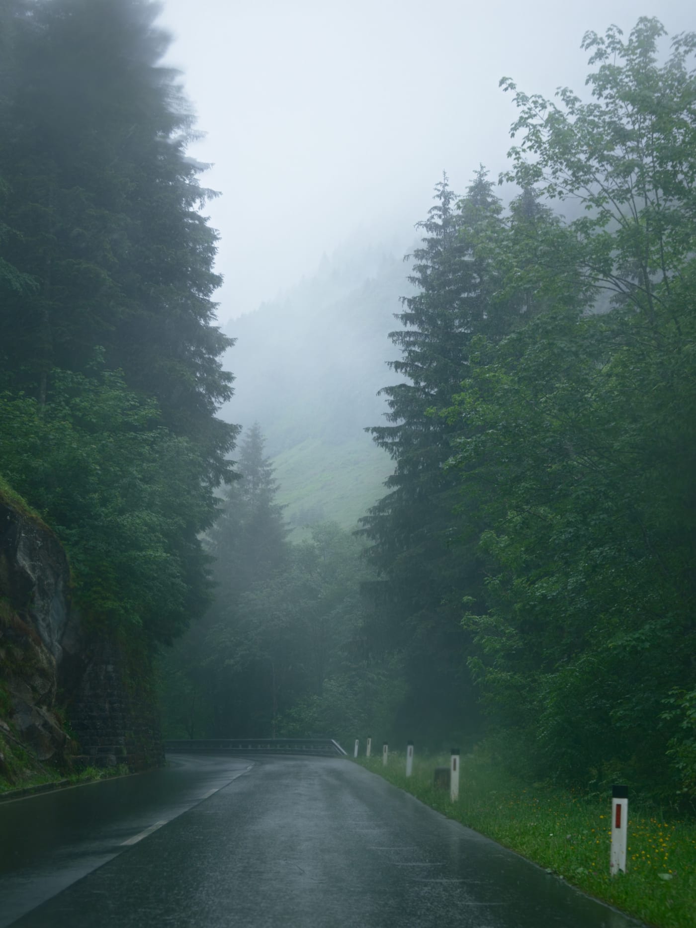 Wet mountain road disappearing into thick fog between dark trees