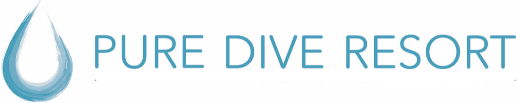 Pure Dive Resort – Eco Friendly Dive Resort on Nusa Penida