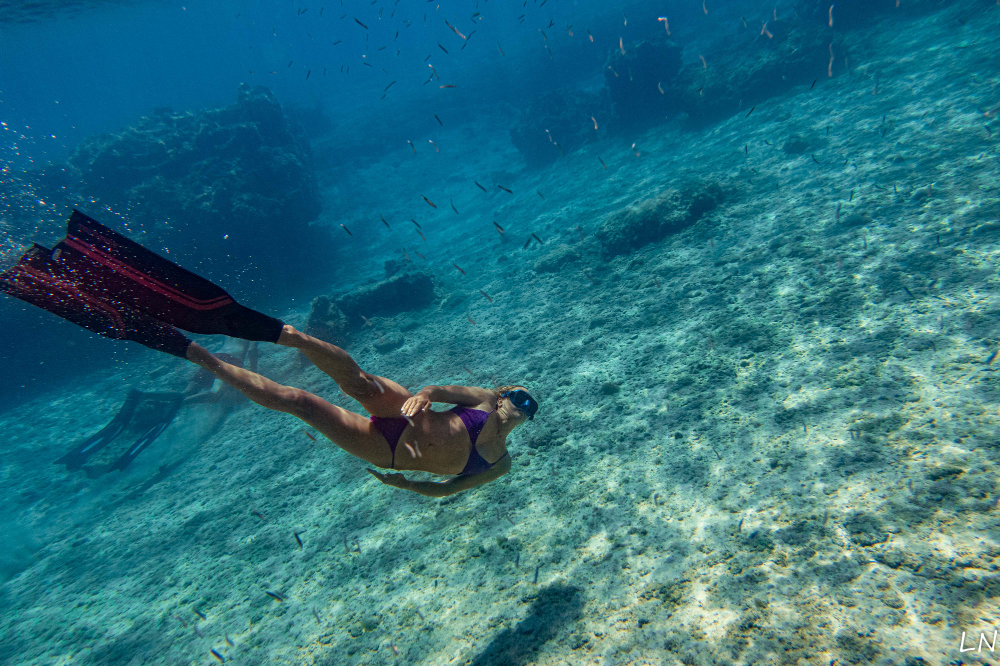 Freediving Nusa Penida Pure Dive Resort Eco Friendly Dive Resort on