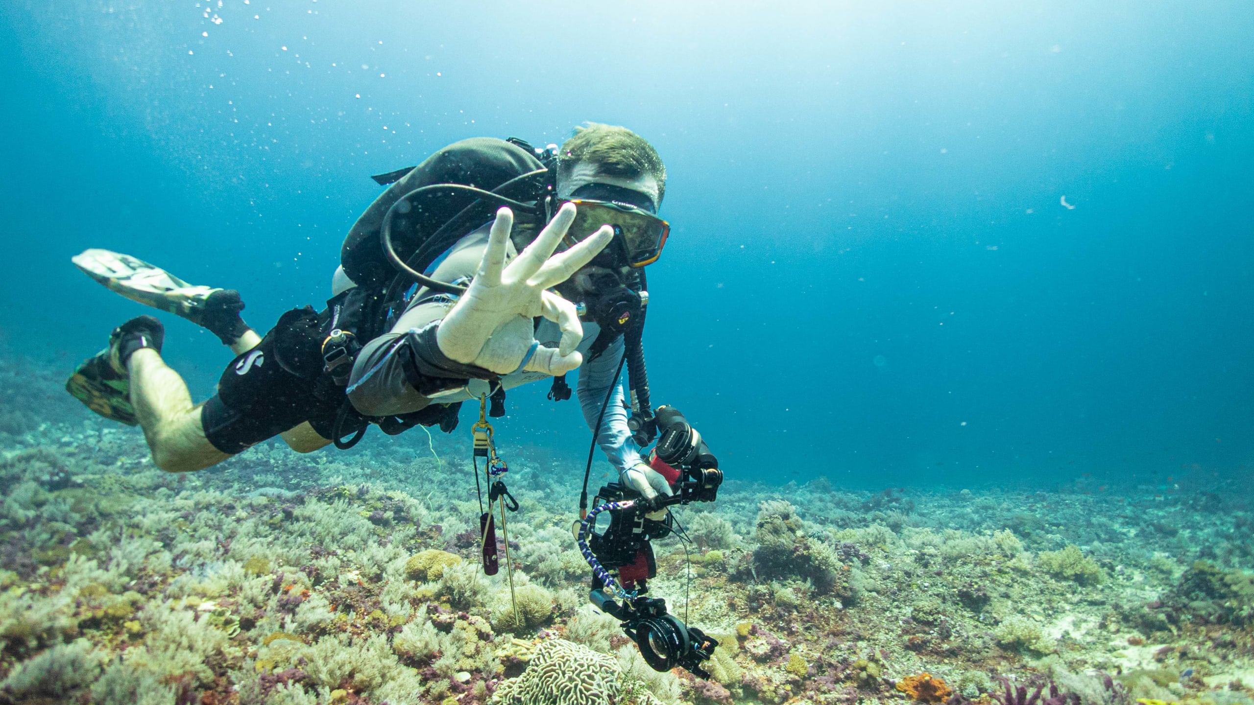 Nusa Penida Diving Prices Pure Dive Resort Eco Friendly Dive Resort on Nusa Penida