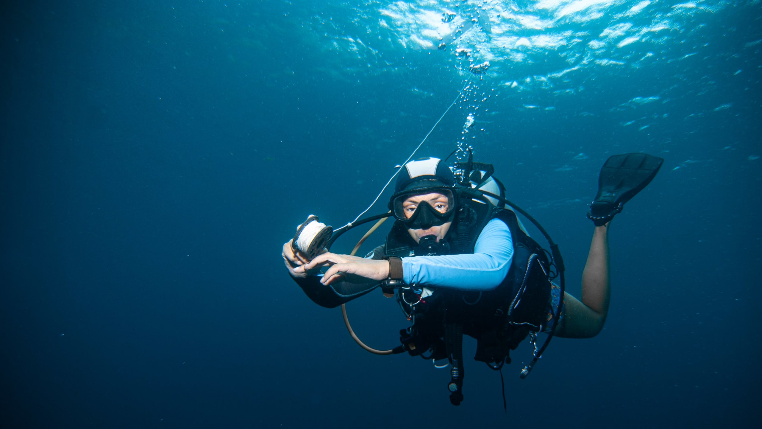 Divemaster Course Pure Dive Resort Eco Friendly Dive Resort on Nusa