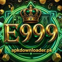 E999 logo