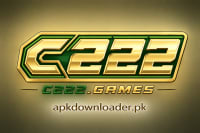 C222 Game logo