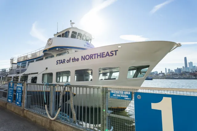 Star of the Northeast photo 1