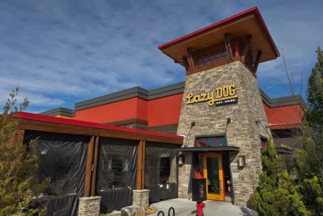 Lazy Dog Restaurant & Bar: Alpharetta photo 1