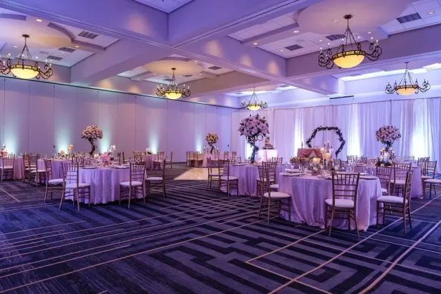 Renaissance Tampa International Plaza Hotel photo 2