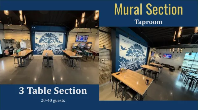 Mural Section at The Collective at Escape Brewing Company