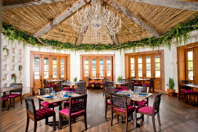 Rosa Mexicano - Ardmore photo 1