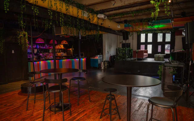 Dancing Cats Bar photo 1