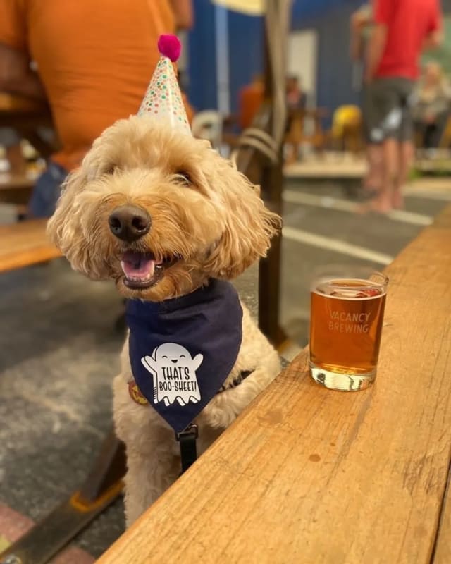 Vacancy Brewing photo 4