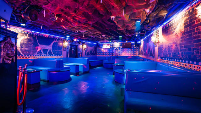 Babylon Cafe photo 1