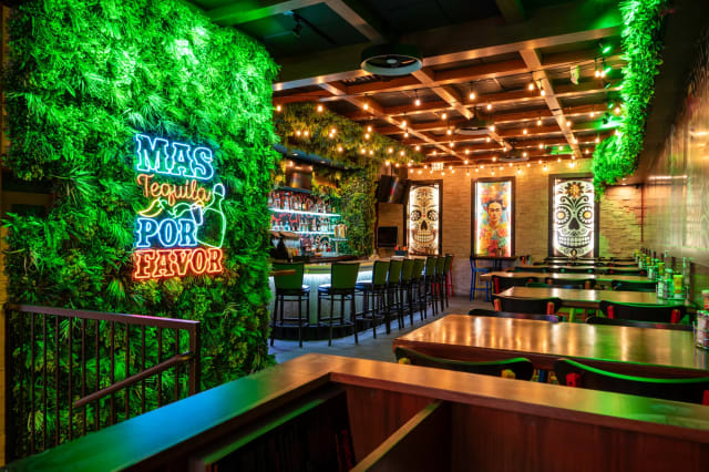 Panchos Rooftop & Cantina photo 2