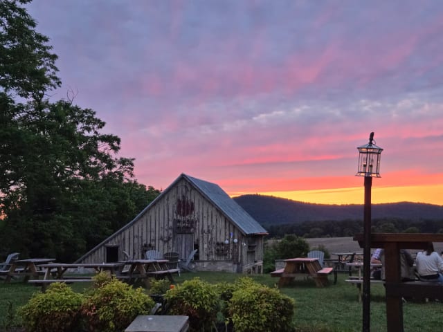 Comus Restaurant and beer garden photo 1