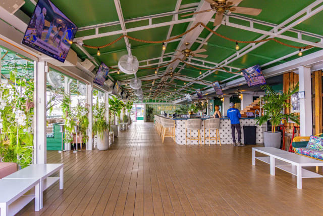 Palm Tree Club photo 2