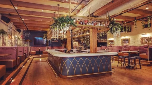 Blue Violet Cocktail Lounge at Hubbard Inn photo 2