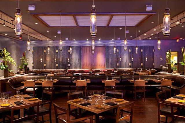 Toro Toro photo 1
