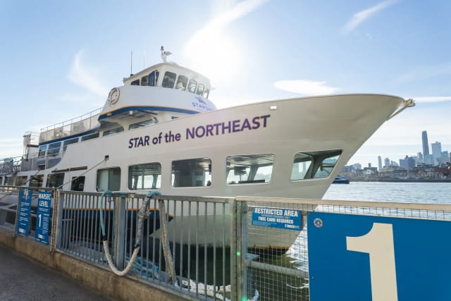 Star of the Northeast photo 1