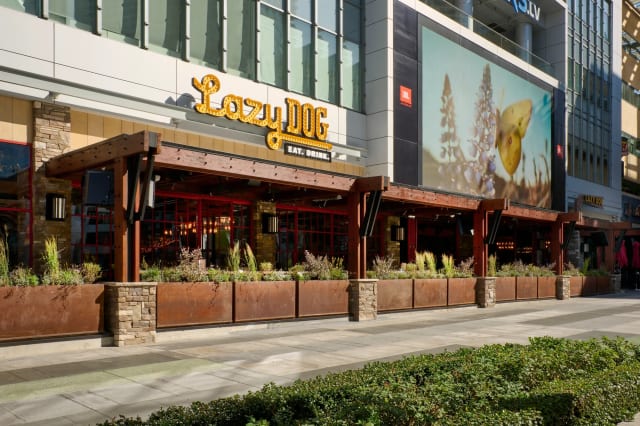 Lazy Dog Restaurant & Bar: LA Live photo 2