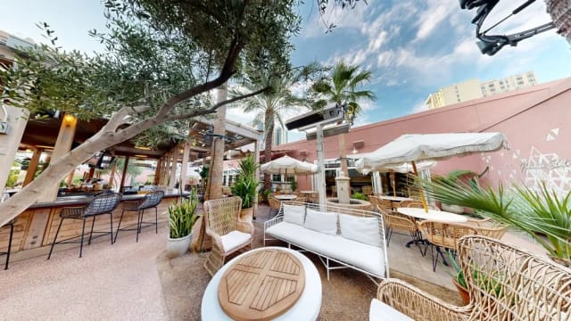 Palma - Phoenix photo 2