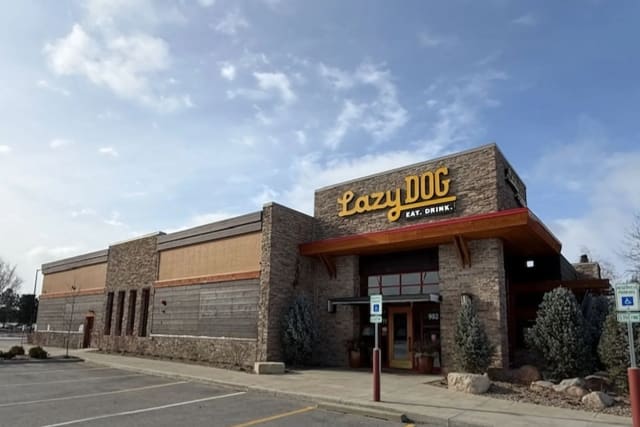 Lazy Dog Restaurant & Bar: Northbrook photo 1