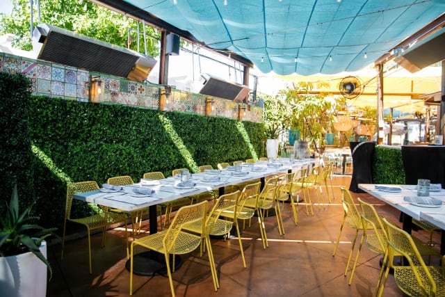 Garden Buyout at Casa Gabriela