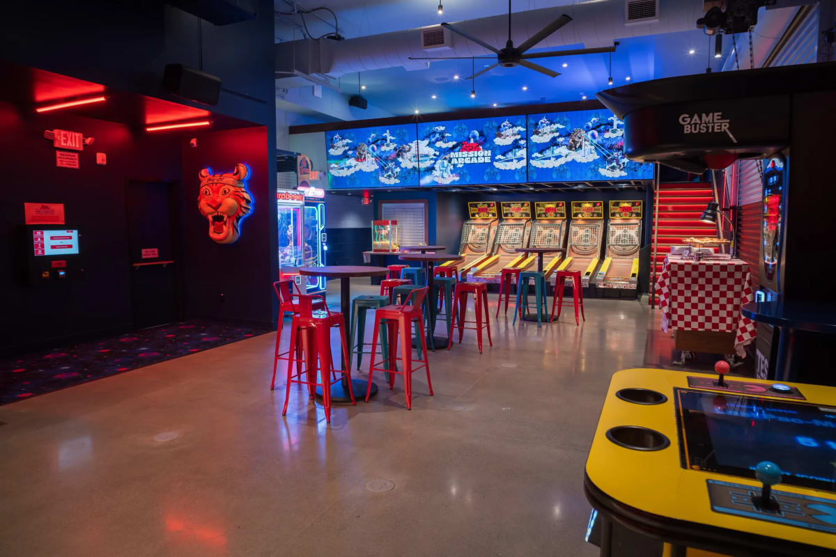 Joey the Cat's Arcade