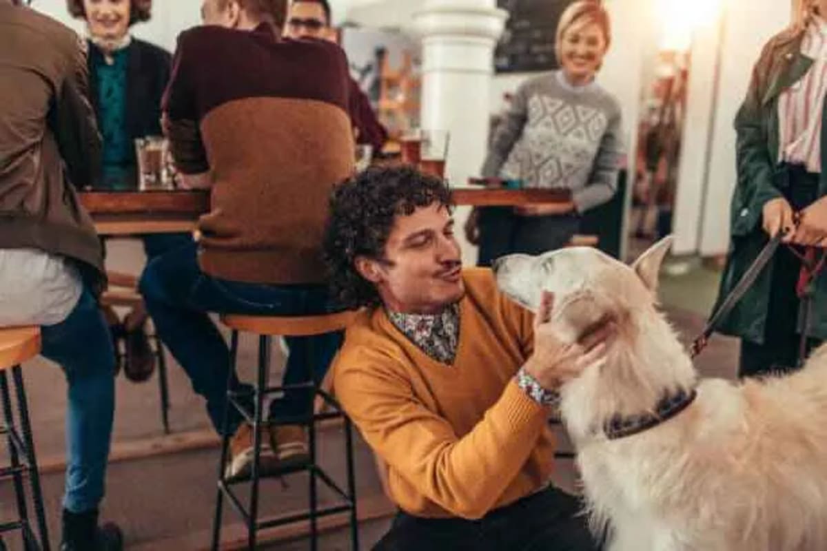 Pet-Friendly