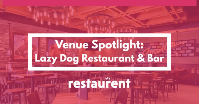 Lazy Dog Restaurant & Bar