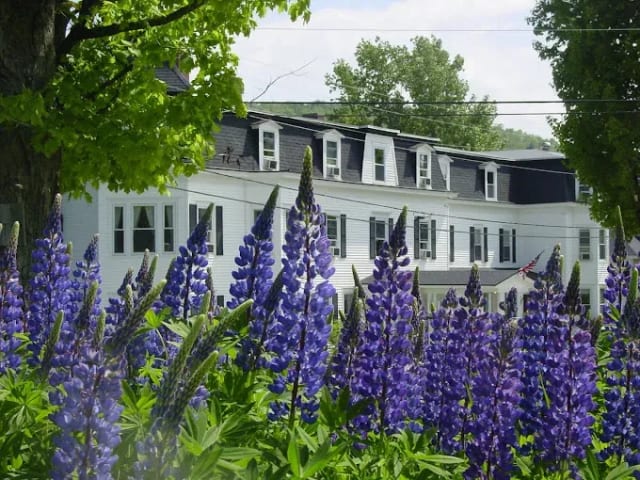 The Sunset Hill House photo 4