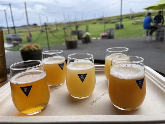 Other Half Brewing - Finger Lakes, Bloomfield photo 5