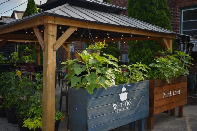 White Dog Distilling photo 5