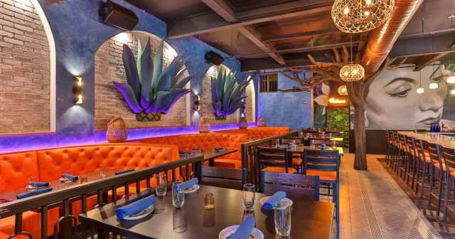 Agave Maria photo 4
