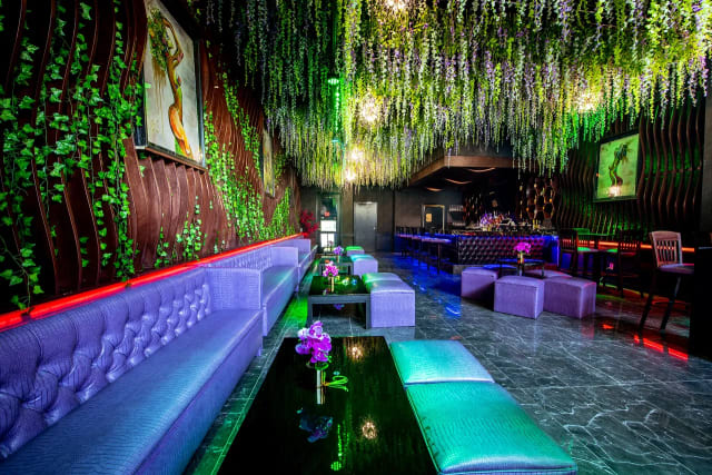 Vanity Restaurant and Bar photo 3