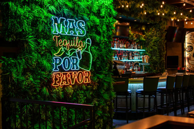Panchos Rooftop & Cantina photo 3