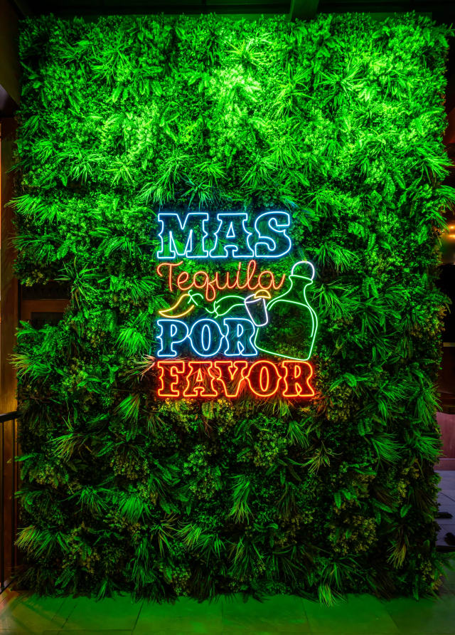 Panchos Rooftop & Cantina photo 5