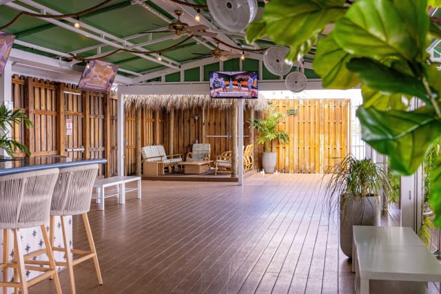 Palm Tree Club photo 4