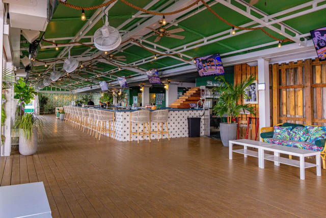 Palm Tree Club photo 3