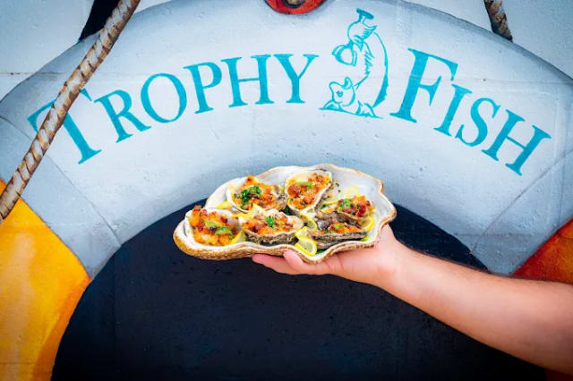 Trophy Fish: Tampa photo 4