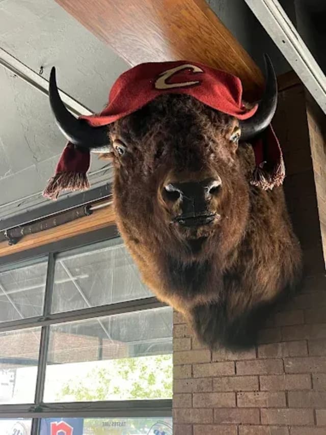 Harry Buffalo - Cleveland photo 5