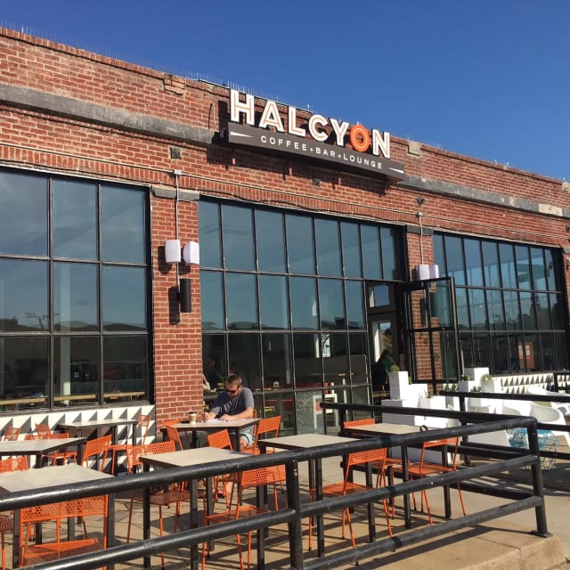 Halcyon photo 4