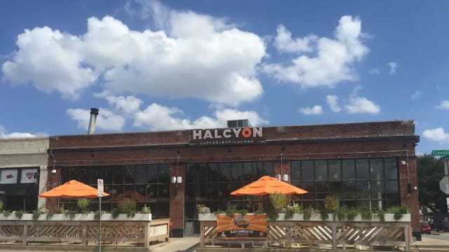 Halcyon photo 3